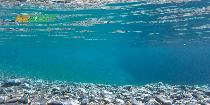 SV088 giải mộng: Những con số liên quan đến giấc mơ thấy nước